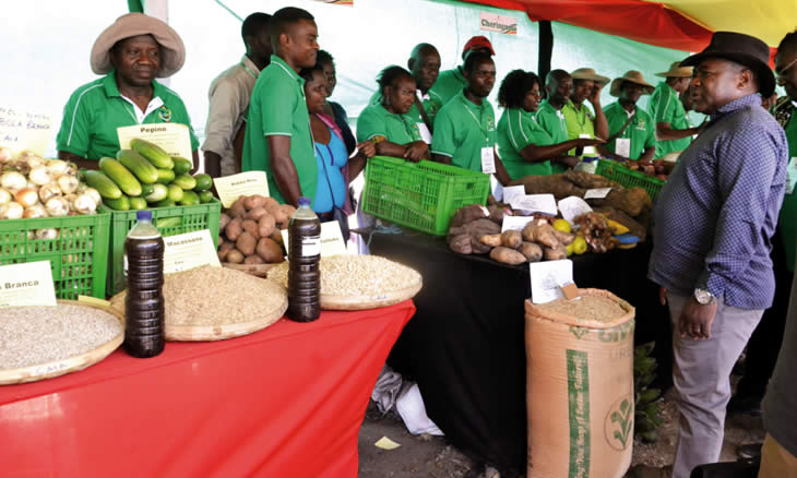 PR destaca esforços de vários sectores para dinamizar a agricultura no país 