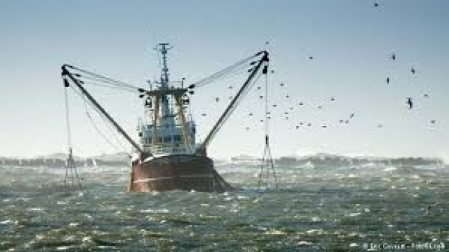 Ministra do Mar, Águas Interiores exige maior atenção no combate à pesca ilegal