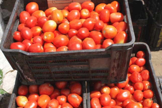 Tete: Comercializadas cerca de 600 mil toneladas de tomate em Chiúta