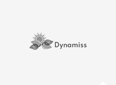 Dynamiss Lda
